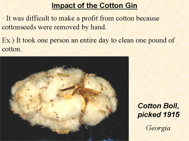 the cotton gin