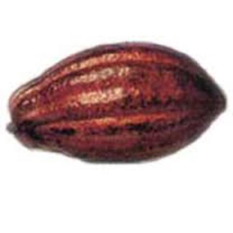 The spread and production of chocolate