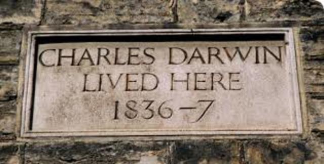 Escriu el primer treball científic