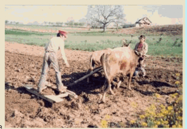 1700 y 1860 REVOLUCION TECNOLOGICA DE LA AGRICULTURA