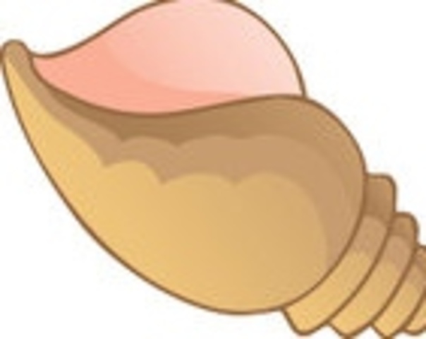 Ralph and Piggy find the conch shell