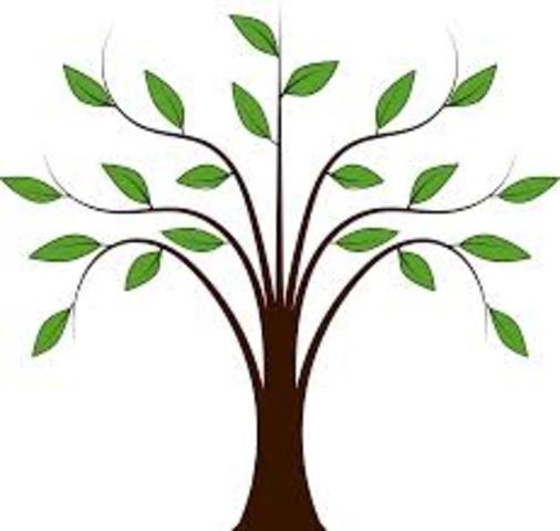 1η συνάντιση περιβαλλοντικής ομάδας