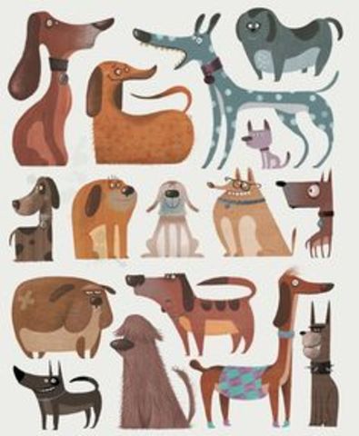 25 Months - Cognitive