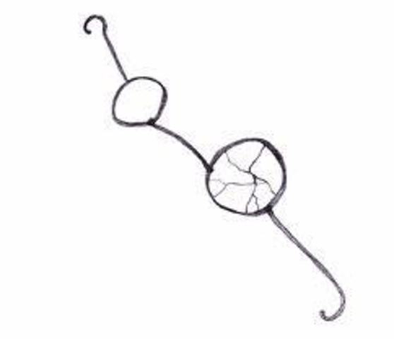 Jack steals Piggy's glasses