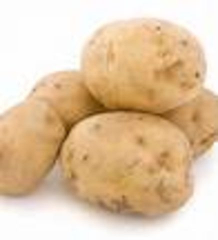 The Great Irish Famine begins