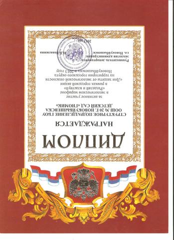 Диплом за активное участие "Разделяй и властвуй"