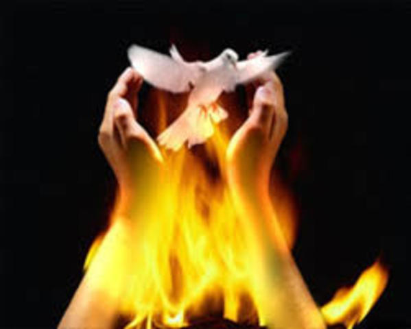 Señales y Prodigios