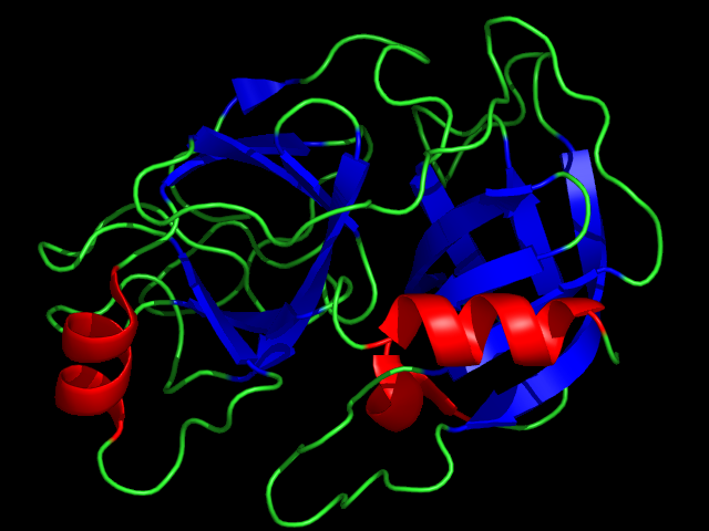 Chyme into the Duodenum - Trypsinogen, Enterokinase, Trypsin, Pancrease Produces Enzymes