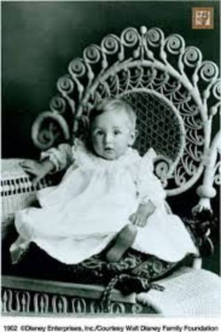 Walt Disney was born