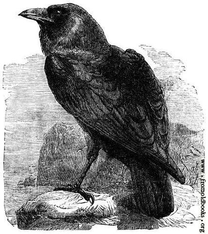Poe publishes the poem, The Raven.