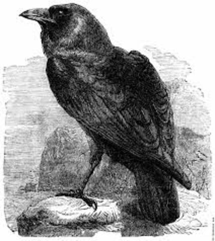 Poe publishes the poem, The Raven.