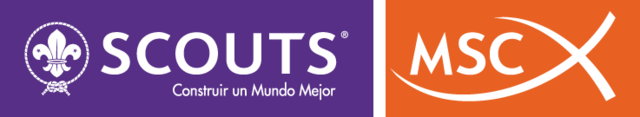 Creación de MSC (Movimiento scout catolico)