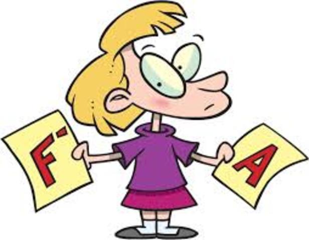 4.5 week Progress Reports