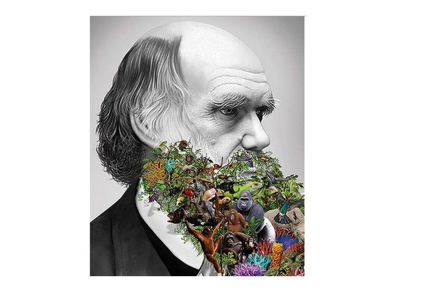 Apta para todas las especies