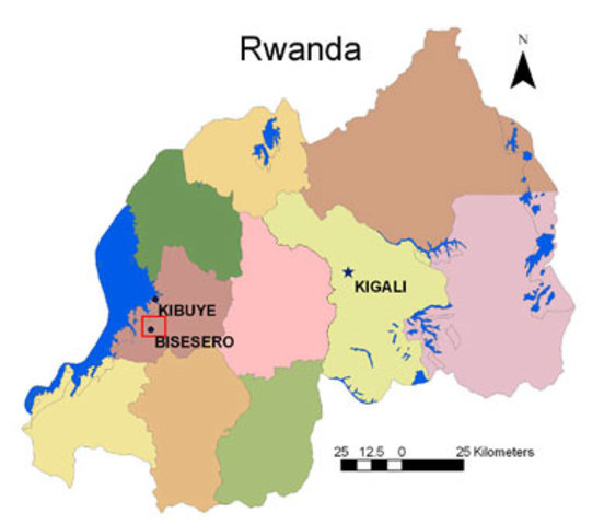 26 Defendants Executed