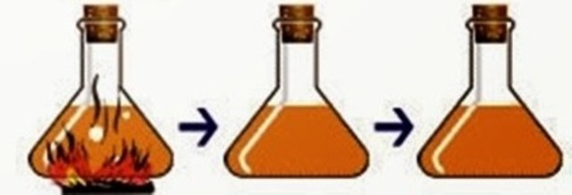 Experimento de Spellanzani