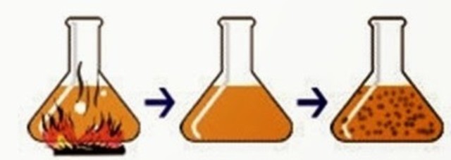 Experimento de Needham