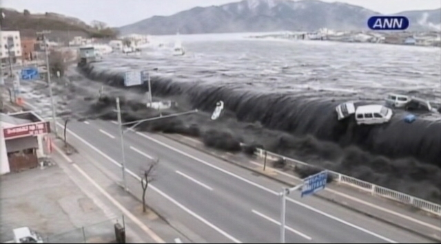 Japan Tsunami and Nuclear Disaster