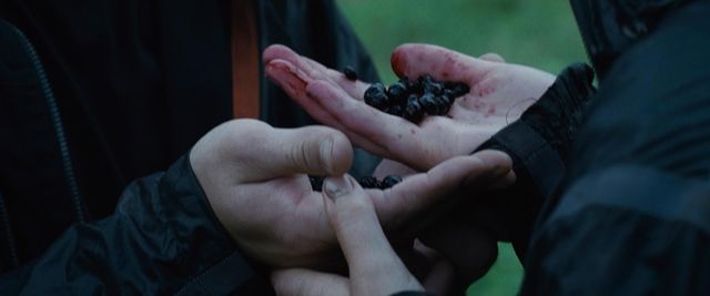 Peeta and Katniss are the only two tributes left. One has to die so they threaten to commit suicide by eating poisonous berries.