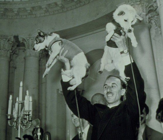 Sputnik 5 is Launched