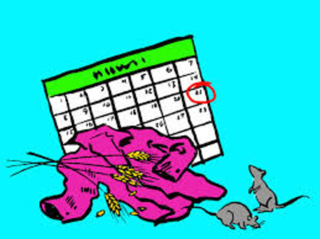 ESPONTÁNEA, HELMONT.