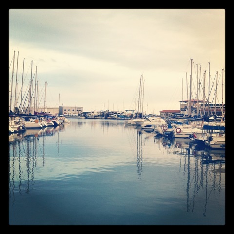 La mort del Francesc