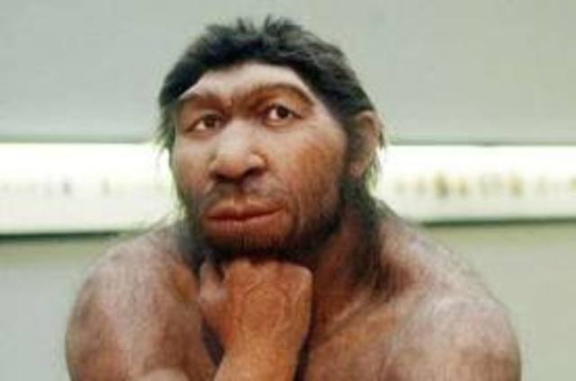 HOMO NEANDERTHALENSIS
