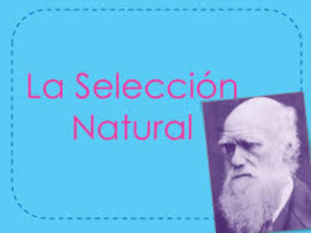 SELECCIÓN NATURAL.