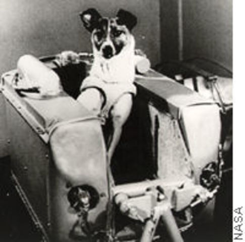 First dog in space