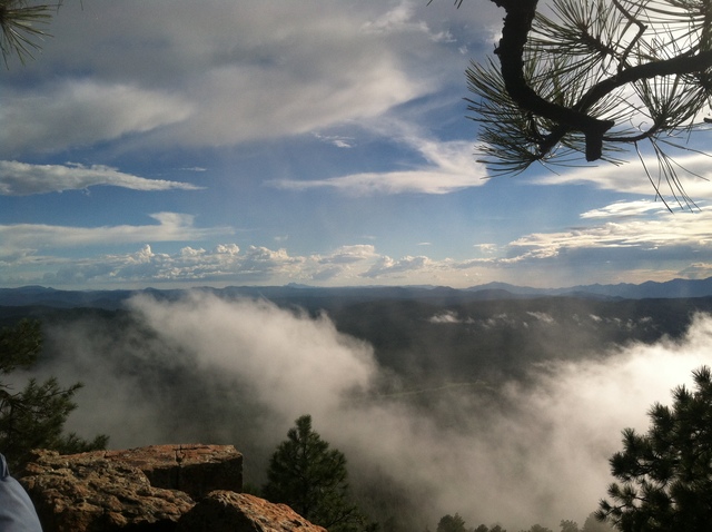 my first pair of hearing aids
