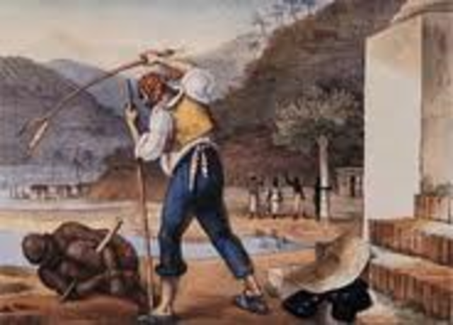 Ban slave importation