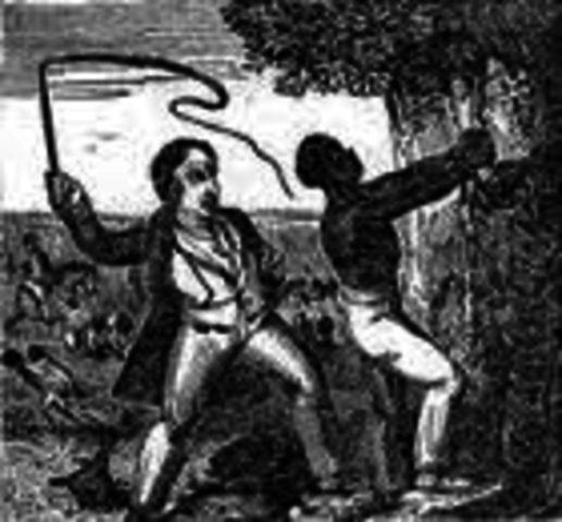 10-13 Millon slaves!