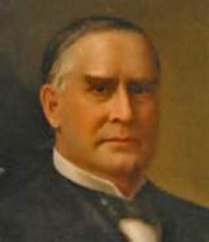 William McKinley Elected President
