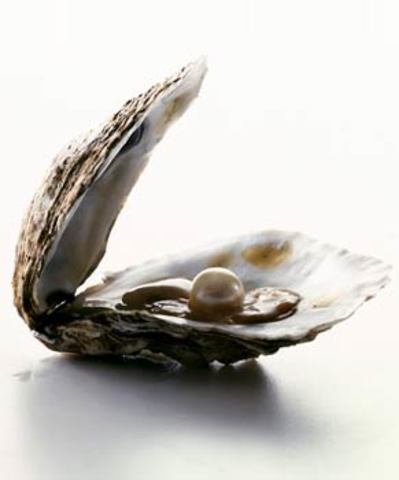 Make a discovery after studying