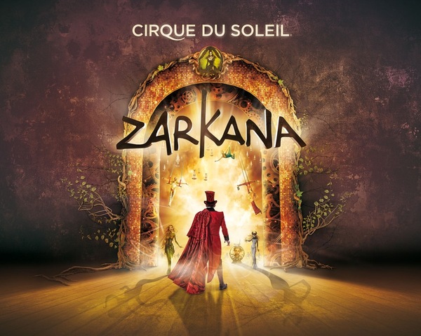 Участие в шоу Цирка дю Солей