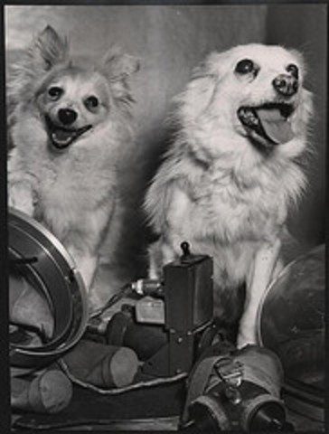 Space Events in 1956