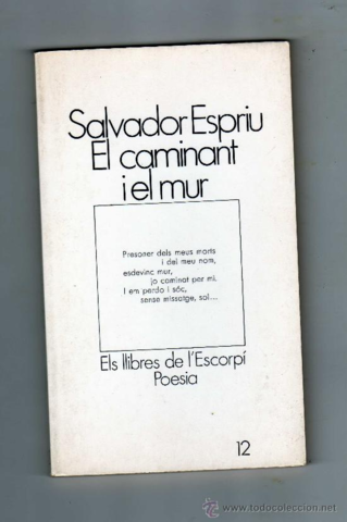 El caminant i el murde poesia