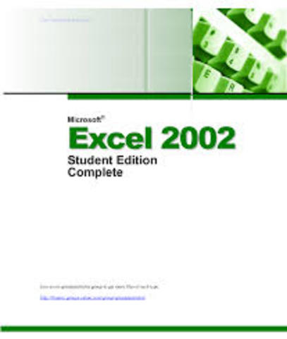 Excel 2002