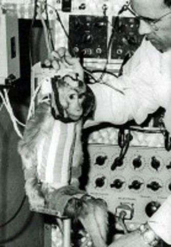 First Animal Sent into Space