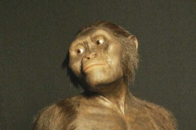 Australopithecus afarensis (Lucy): 3,5 M. de años