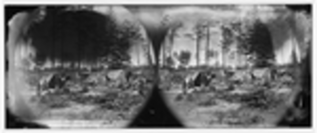 Battles of Fort Henry and Fort Donelson