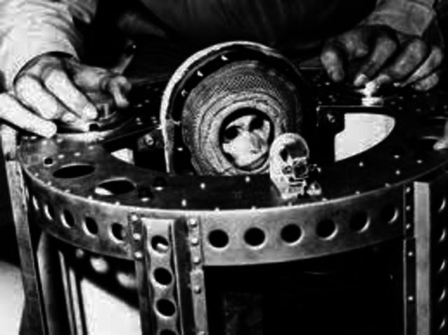 The first monkey to be launched into space.