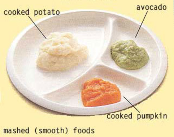 Solid Foods Mishap (Part 1)