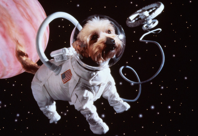 First Animals in Space