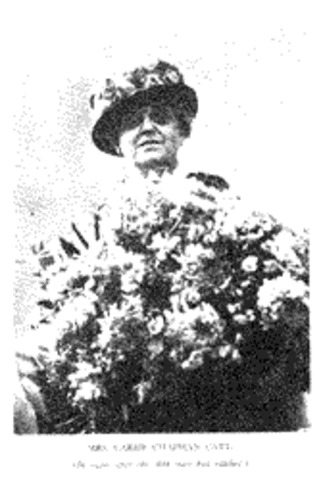 carrie chapman catt and new NAWSA tactics