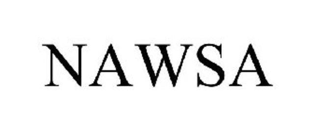 NAWSA Formed