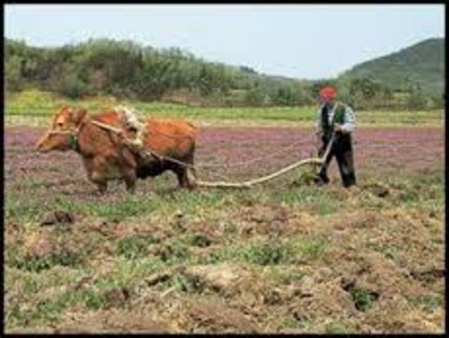 Early America:Traditional Economy