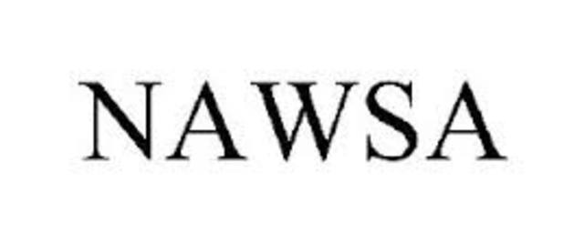 NAWSA Formed