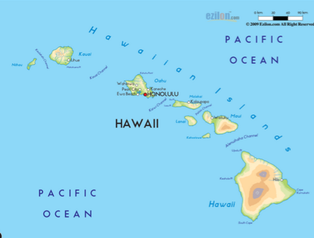 There was American interest in sugar and sugar cane factories increased in Hawaii. There were no tariffs on sugar.