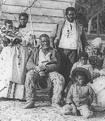 Slavery Begins in America